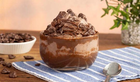 Sorvete Mix Chocolate Com Ovomaltine® Creme Crocante com Rocks